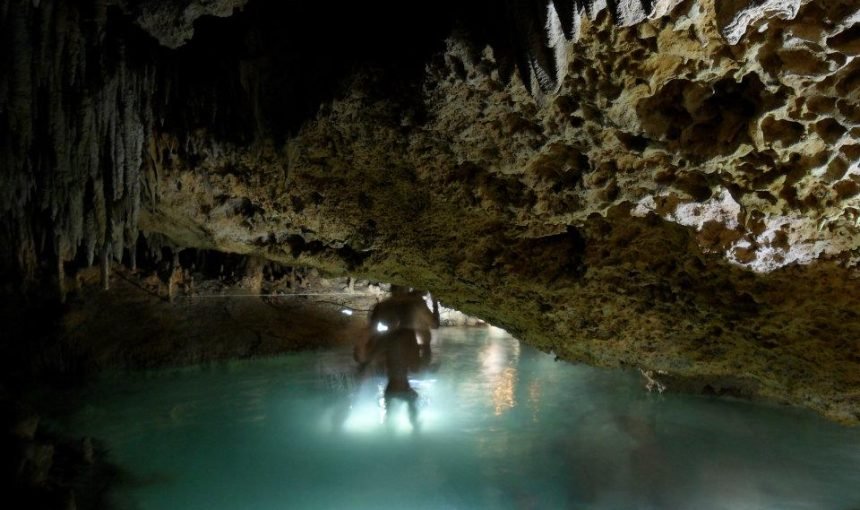 Cenote Santa Cruz: A Hidden Gem in Mexican Nature